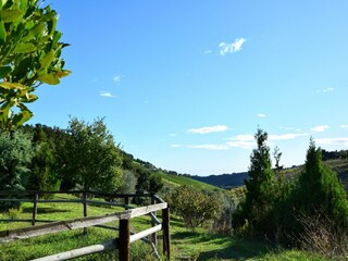 Appartement Lapedona Buitenaudio-opname 10