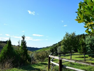 Appartement Lapedona Environnement 18