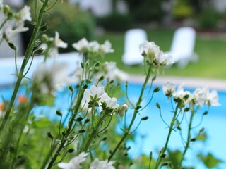 Vakantieappartement Riffian Omgeving 3
