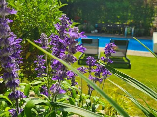 Vakantieappartement Riffian Buitenaudio-opname 8