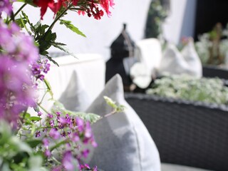 Vakantieappartement Riffian Omgeving 9