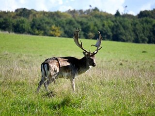 Parc de vacances Middelfart  63
