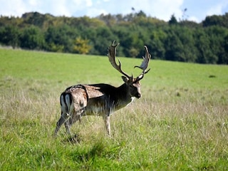 Parc de vacances Middelfart  22