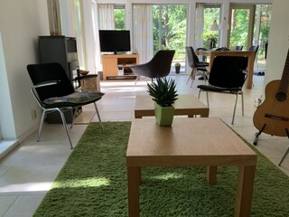 Vakantiehuis Oudemirdum Woonkamer 15