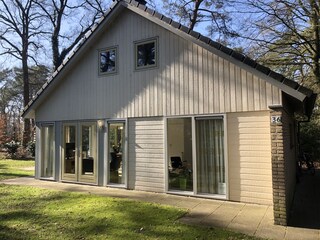 Luxus und frei im Wald mit Sonne und Schatten