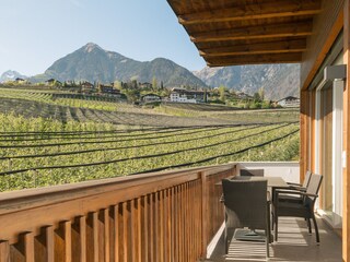 Appartamento per vacanze Dorf Tirol Caratteristiche 9
