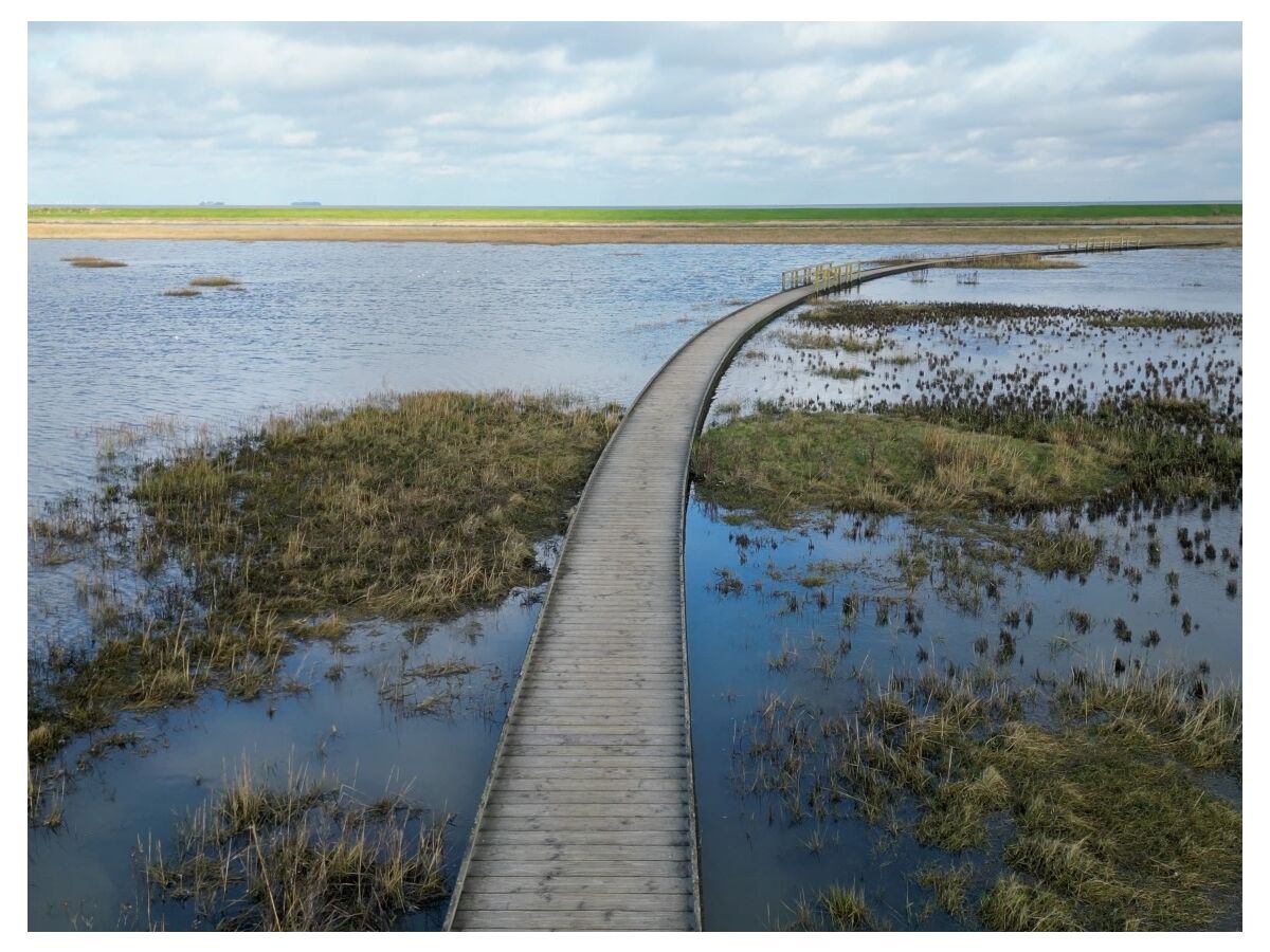 Weltnaturerbe Wattenmeer Langwarder Groden