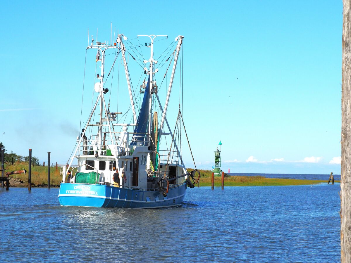 Hafen Fedderwardersiel