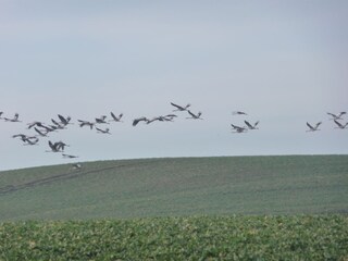 Holiday apartment Untergöhren Environment 26