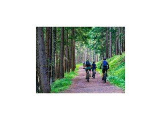Parc de vacances Sarbinowo Environnement 21