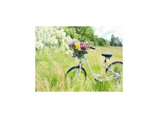 Vakantiepark Sarbinowo Omgeving 26