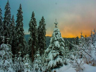 Appartamento Arrach Ambiente 38