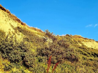 Casa per le vacanze Vestervig  32