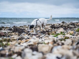Casa per le vacanze Vestervig  34