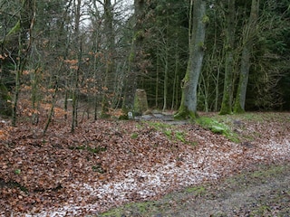 Casa per le vacanze Ejstrupholm  7