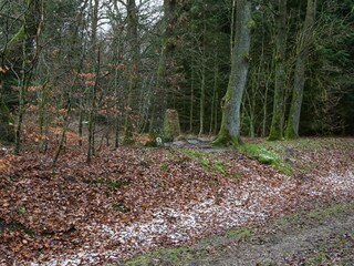 Ferienhaus Ejstrupholm  8