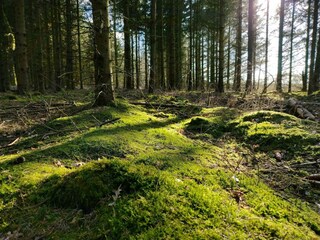 Vakantiehuis Ejstrupholm  12