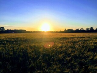 Casa per le vacanze Ejstrupholm  10