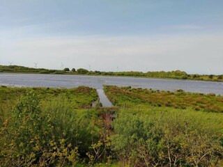 Ferienhaus Ejstrupholm  5