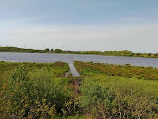 Ferienhaus Ejstrupholm  6