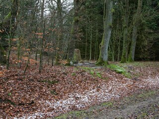 Ferienhaus Ejstrupholm  36