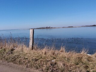 Vakantiehuis Næsby Strand (Lolland)  15