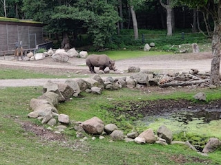 Vakantiehuis Ebeltoft  4