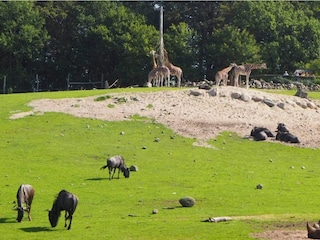 Vakantiehuis Ebeltoft  6