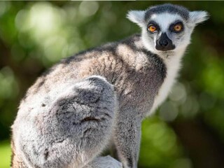 Vakantiehuis Ebeltoft  7