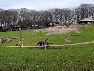 Vakantiehuis Ebeltoft  9