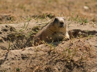 Vakantiehuis Ebeltoft  12