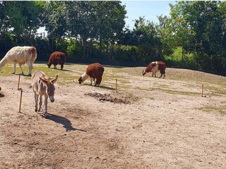 Vakantiehuis Ebeltoft  14