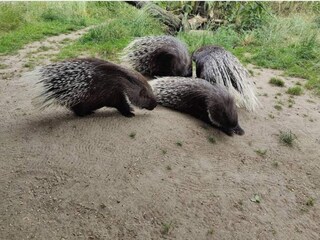 Ferienhaus Ebeltoft  17