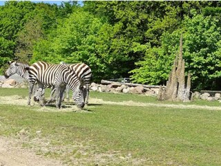 Ferienhaus Ebeltoft  17