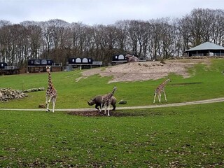 Vakantiehuis Ebeltoft  6