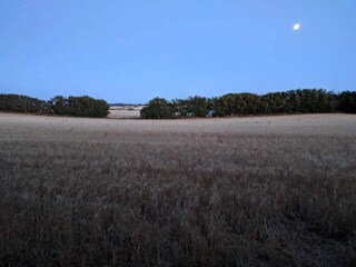 Holiday house Falsled  32