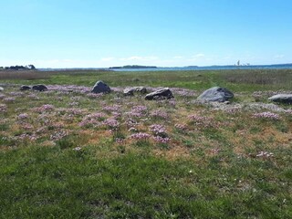 Vakantiehuis Falsled  27