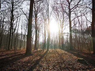 Holiday house Falsled  35