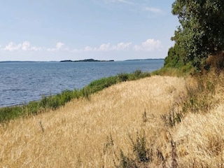 Ferienhaus Falsled  31