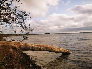 Ferienhaus Falsled  40
