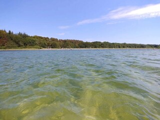 Ferienhaus Falsled  48