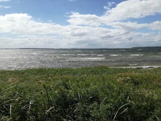 Vakantiehuis Falsled  50