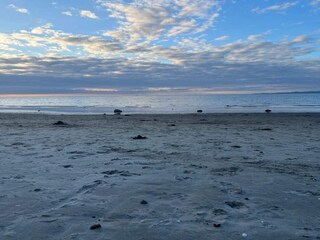 Ferienhaus Dronningmølle  15