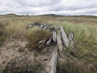 Maison de vacances Dannemare  1
