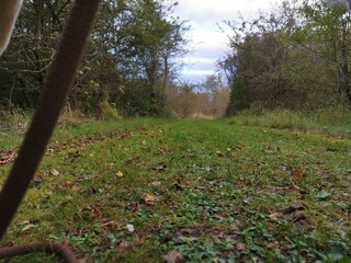 Vakantiehuis Dannemare  11