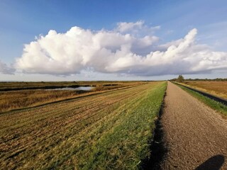 Maison de vacances Dannemare  37