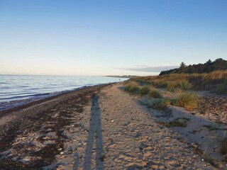 Maison de vacances Dannemare  14