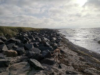 Casa de vacaciones Dannemare  9