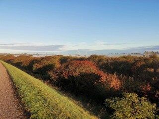 Casa de vacaciones Dannemare  36