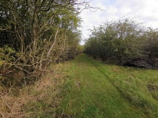 Casa de vacaciones Dannemare  37